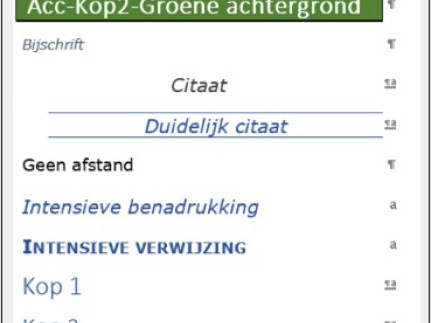 een printscreen van de stijlen uit Word om een document mee op te maken